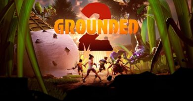 Télécharger grounded-2-pc